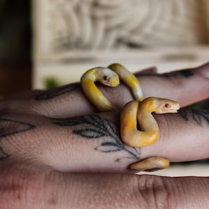 May include: A ring shaped like a coiled snake with a smooth, matte finish in shades of pale yellow and orange. The snake features a detailed head with visible eyes and a curved body that wraps around the finger, creating a continuous, fluid form.
