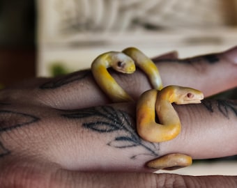 Albino-Python-Ring