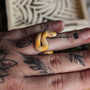 May include: A ring shaped like a coiled snake with a smooth, pale yellow and orange gradient finish. The snake features a small, distinct head with visible eye detail, wrapping around the finger in a continuous, rounded loop design.