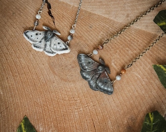 Saturnia Moth