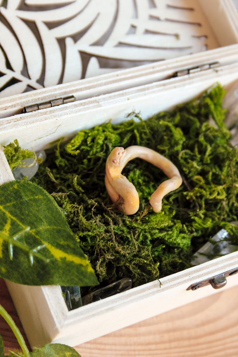 May include: A small, pale, coiled snake figurine crafted from clay, resting inside a light-colored wooden box filled with vibrant green moss. The snake has a smooth, light beige surface and is positioned centrally among the textured moss.