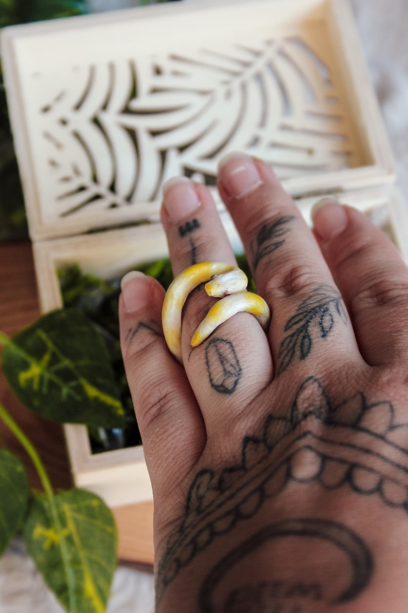 May include: A ring shaped like a coiled snake with a smooth, pale yellow and white gradient finish. The snake's body wraps around the finger, with the head resting against the tail, creating a continuous, circular band design for the finger.