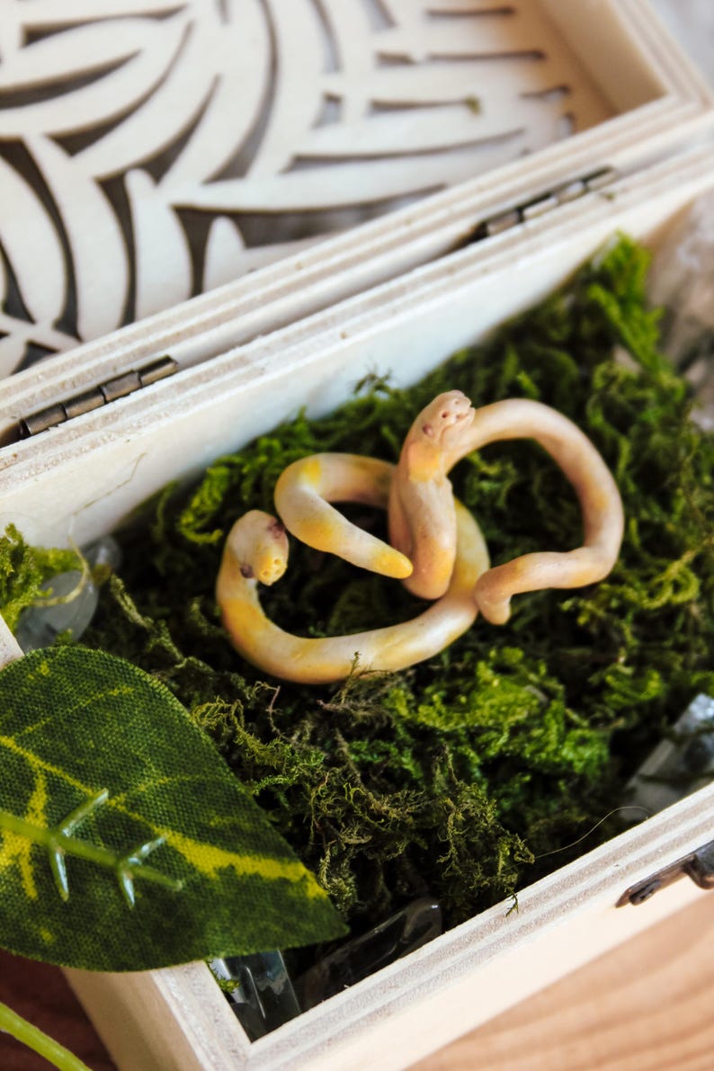 May include: A small, coiled, light-colored snake figurine with yellow and orange accents resting on a bed of dark green moss inside a light-colored wooden box with a decorative cutout lid and a single green leaf in the corner.