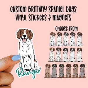 Custom Brittany Spaniel Vinyl Stickers & Magnets, Gift for Brittany Spaniel lover, Laptop Sticker, Waterproof, Brittany Sticker