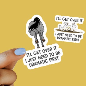 Horse Stickers and Magnets, Dramatic Horse, Water Bottle Stickers, Laptop Stickers