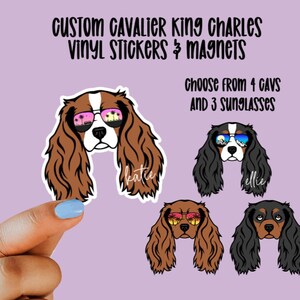 Custom Cavalier King Charles Vinyl Stickers & Magnets, Gift for Cavalier King Charles Lover, Sunglasses, Laptop Sticker, Blenheim, Ruby