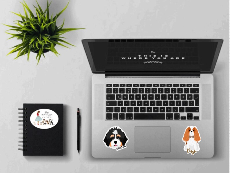 May include: A laptop computer with three stickers on it. The stickers are of a woman with dogs, a black and white dog with the name "Winston" and a brown and white dog with the name "Dash".
