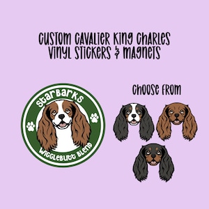 Peut inclure: Autocollants et aimants en vinyle personnalisés Cavalier King Charles. Choisissez parmi trois designs différents : un Cavalier King Charles brun et blanc, un Cavalier King Charles noir et blanc et un Cavalier King Charles noir et fauve. Les autocollants et les aimants présentent un cercle vert avec le texte « Starbarks Wigglebutt Blend » et des empreintes de pattes.