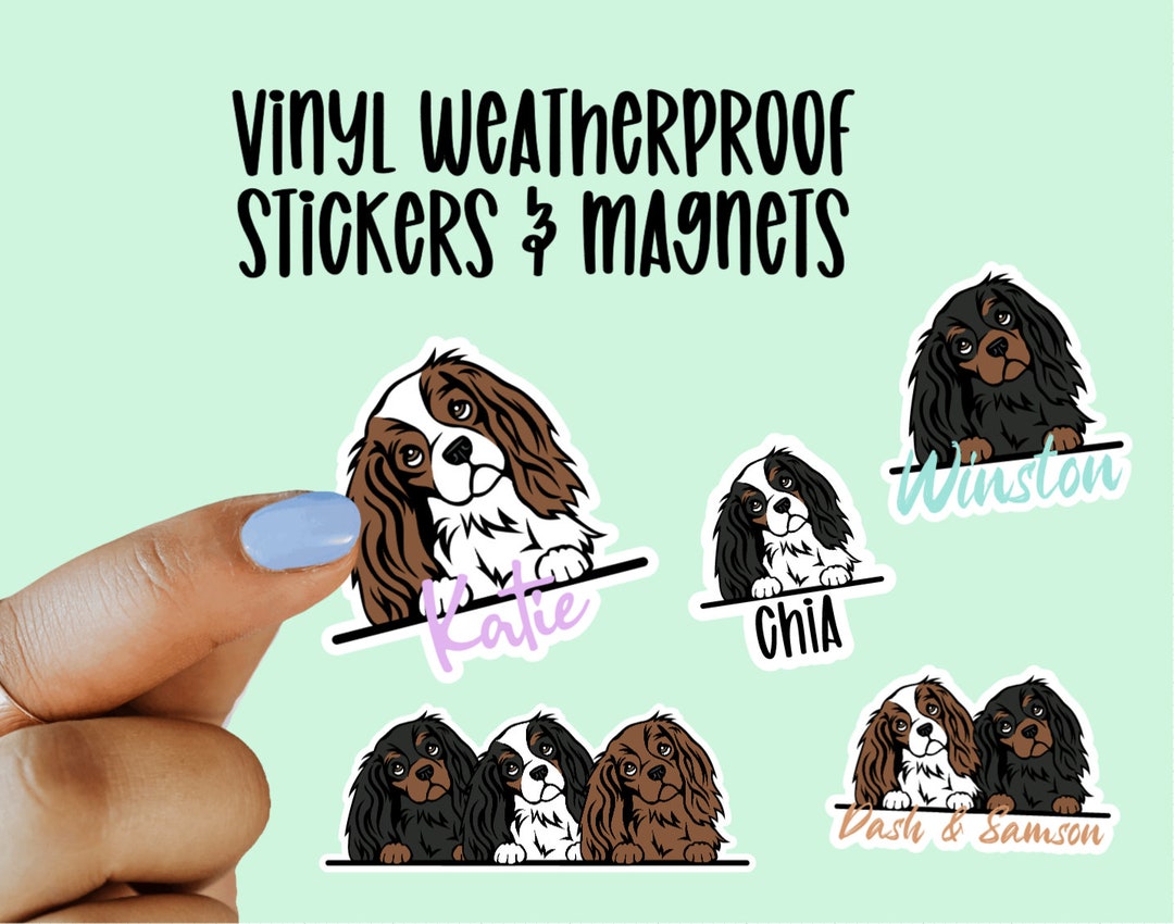 Custom Cavalier King Charles Gift Sticker or Magnet, Custom Dog Sticker ...