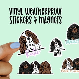 May include: Vinyl weatherproof stickers and magnets featuring illustrations of Cavalier King Charles Spaniels. The stickers feature the names "Katie", "Chia", "Winston", and "Dash & Samson".