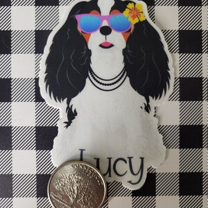 May include: A white and black Cavalier King Charles Spaniel dog wearing blue sunglasses and a pink flower. The dog is wearing a black beaded necklace and the name "Lucy" is written below the dog.