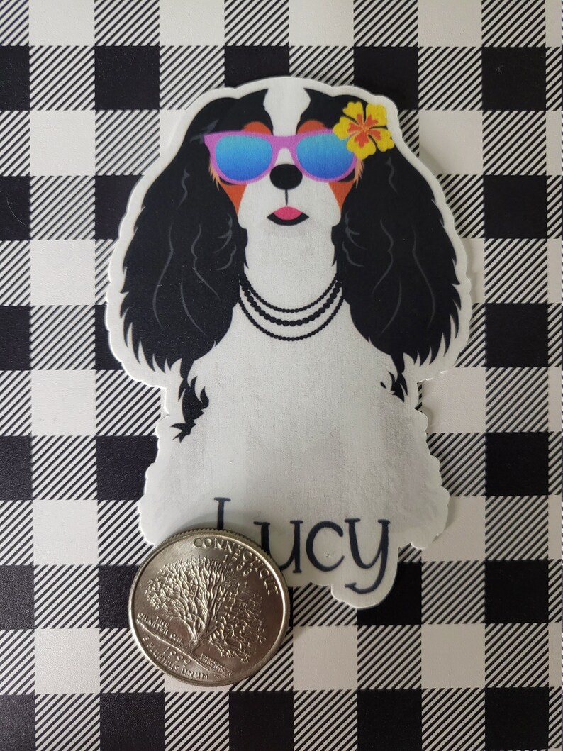 May include: A white and black Cavalier King Charles Spaniel dog wearing blue sunglasses and a pink flower. The dog is wearing a black beaded necklace and the name "Lucy" is written below the dog.