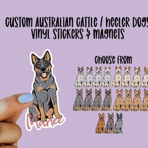 Custom Australian Cattle Dog, Blue Heeler, Red Heeler Vinyl Stickers and Magnets