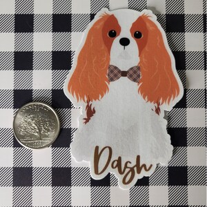 May include: A white and orange Cavalier King Charles Spaniel dog with brown eyes and a brown and white plaid bow tie. The dog is wearing a bow tie and the name "Dash" is written below the dog.