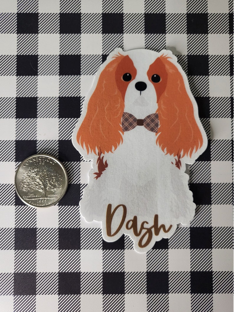 May include: A white and orange Cavalier King Charles Spaniel dog with brown eyes and a brown and white plaid bow tie. The dog is wearing a bow tie and the name "Dash" is written below the dog.