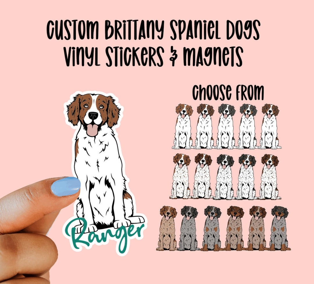Custom Brittany Spaniel Vinyl Stickers & Magnets, Gift for Brittany ...