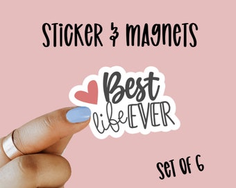 Best Life Ever Set of 6 Waterproof Laminate Vinyl Stickers & Magnets, JW Pioneer Gifts, JW Gifts