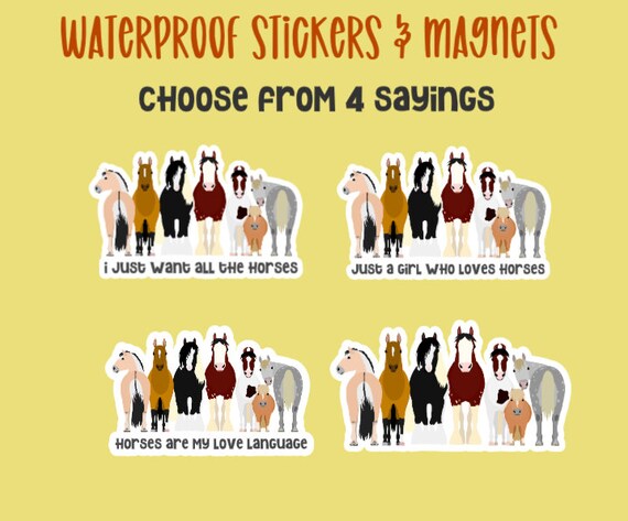 Best Life Ever Set of 6 Waterproof Laminate Vinyl Stickers & Magnets, JW  Pioneer Gifts, JW Gifts 