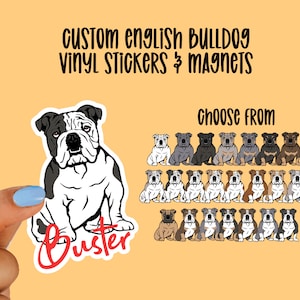 Custom English Bulldog Vinyl Stickers and Magnets | English Bulldog | Waterproof Vinyl Stickers