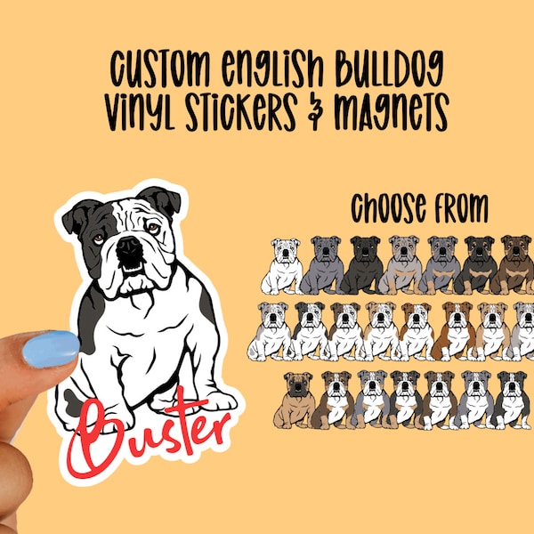 Custom English Bulldog Vinyl Stickers and Magnets | English Bulldog | Waterproof Vinyl Stickers