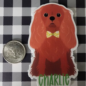May include: A red and white Cavalier King Charles Spaniel dog wearing a yellow bow tie with white flowers. The dog is sitting and looking at the camera. The dog's name is "Charlie" written in green letters below the dog.