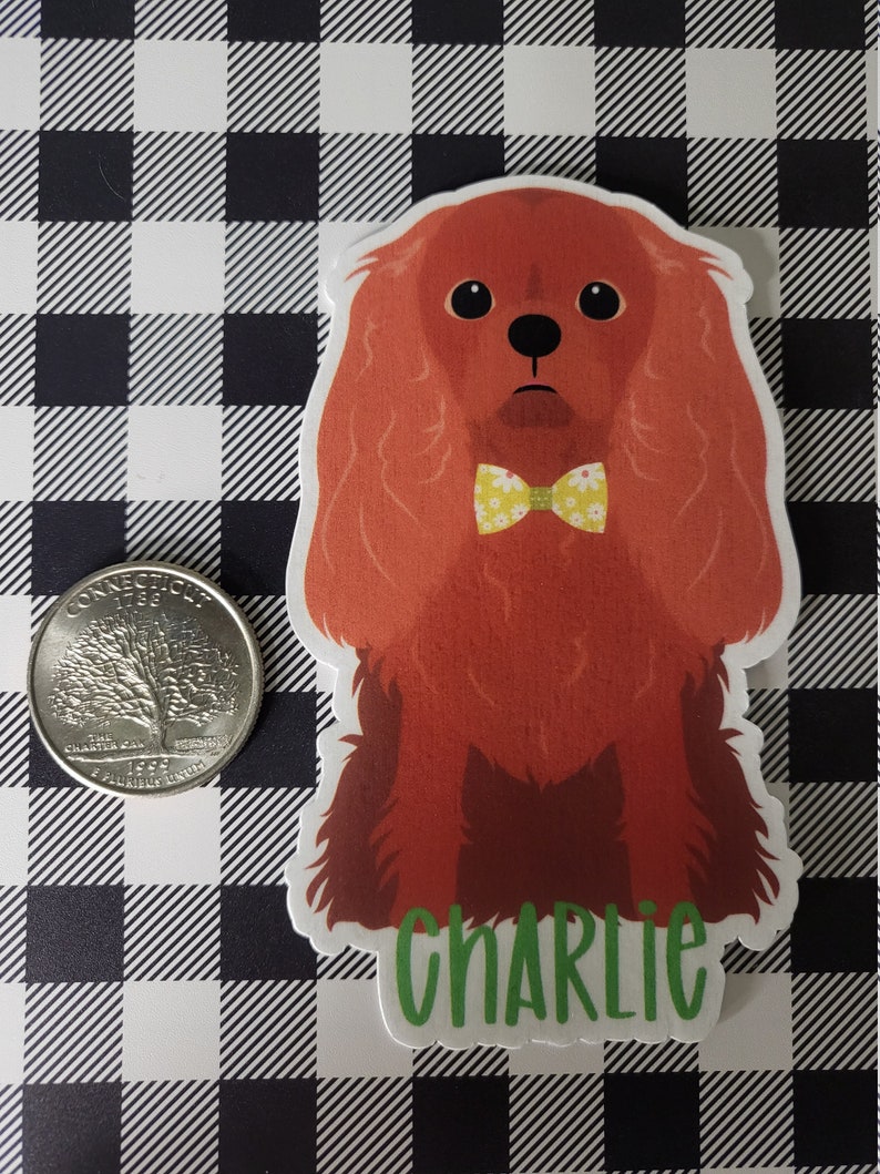 May include: A red and white Cavalier King Charles Spaniel dog wearing a yellow bow tie with white flowers. The dog is sitting and looking at the camera. The dog's name is "Charlie" written in green letters below the dog.
