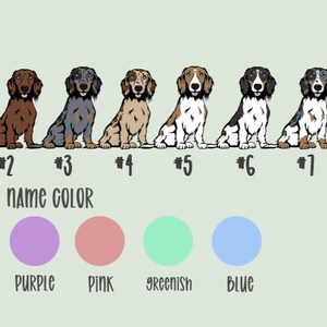 May include: Eight dachshund dogs in different colour combinations, numbered 1 through 8. The text "DACHSHUND" is at the top of the image. Below the dogs, the text "NAME COLOR" is displayed. Below that, there are five coloured circles labelled "PURPLE", "PINK", "GREENISH", and "BLUE".