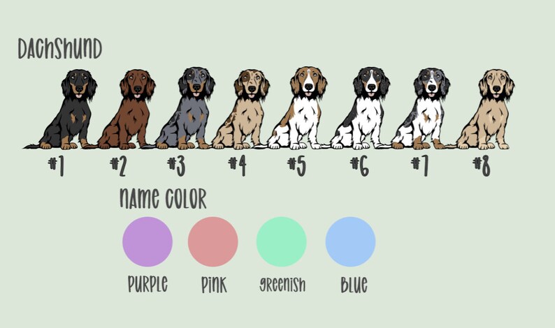 May include: Eight dachshund dogs in different colour combinations, numbered 1 through 8. The text "DACHSHUND" is at the top of the image. Below the dogs, the text "NAME COLOR" is displayed. Below that, there are five coloured circles labelled "PURPLE", "PINK", "GREENISH", and "BLUE".