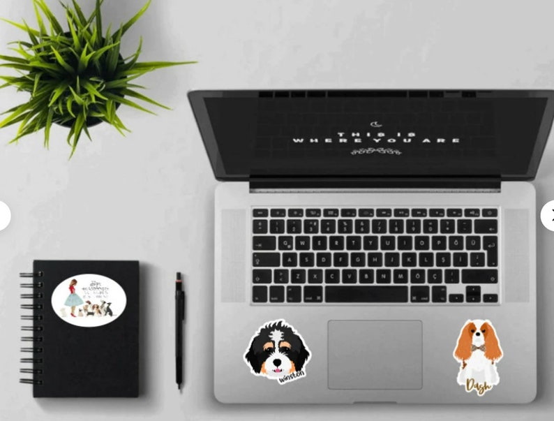 K&ouml;nnte beinhalten: Ein Laptop mit einem schwarzen Bildschirm, auf dem "This is where you are" steht, und einer wei&szlig;en Tastatur. Auf dem Laptop befinden sich drei Aufkleber, einer mit einer Cartoon-Darstellung einer Frau mit einem Hund, einer mit einer Cartoon-Darstellung eines Hundes namens Winston und einer mit einer Cartoon-Darstellung eines Hundes namens Dash.