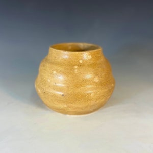 Ceramic Beehive Planter Pot