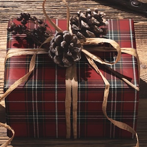 May include: A wrapped gift box with red plaid paper, adorned with pinecones and tan ribbon. The box is on a wooden surface, with a spool of twine and scissors nearby. Berries and a small figurine add to the festive arrangement.