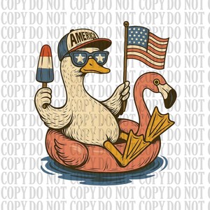 Silly Summer Goose PNG, 4th of July Goose Png, Boy 4th Goose PNG, Patriotic Goose Png, Funny Patriotic Duck, 4th of July Boy