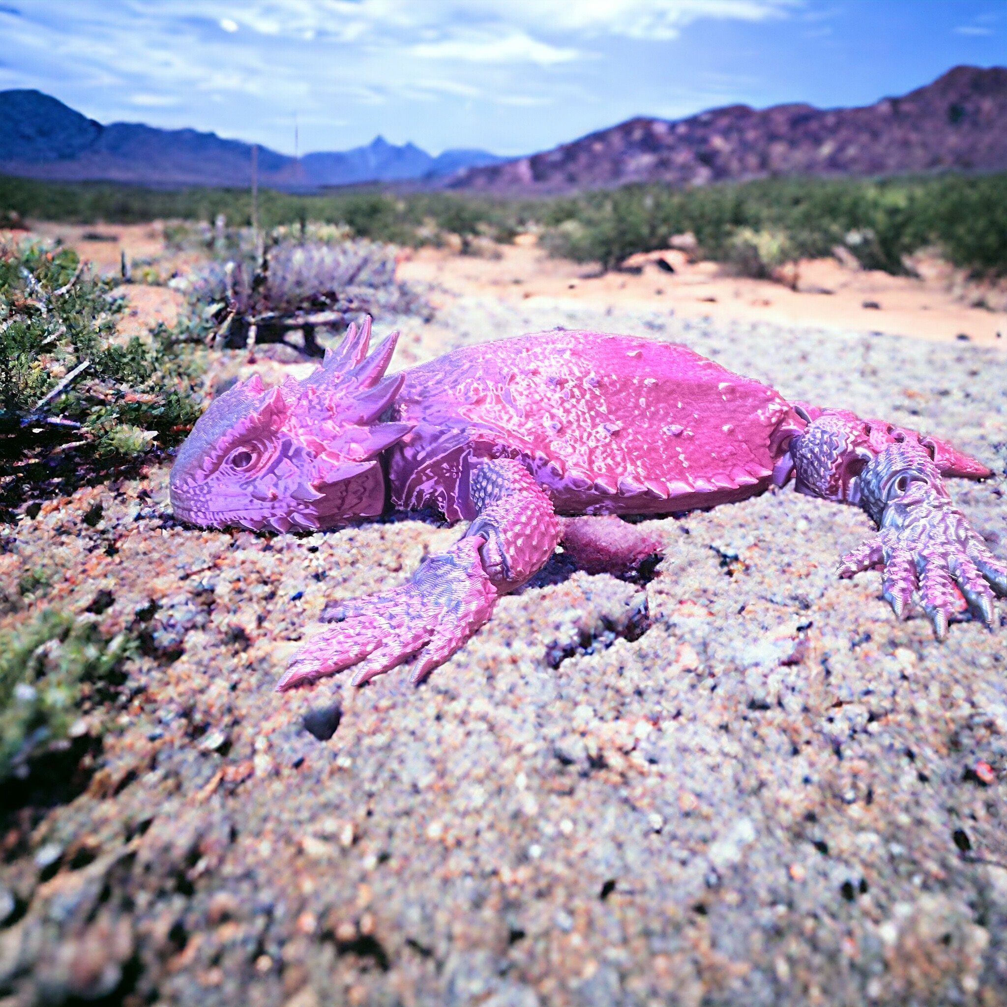 Lizard 7インチシングル Rosalyn / Cecil Lizard 7-inch single Rosalyn / Cecil