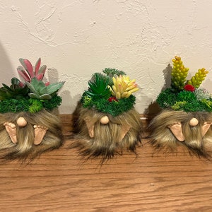 Succulent Garden Gnome | Gnome | Succulent | Tiered Tray