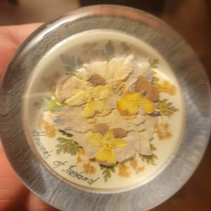 Flowers of Ireland paperweight