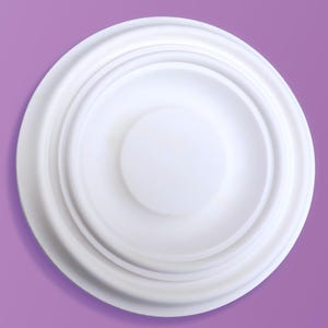 Bullseye Small Plaster Ceiling Rose - 235mm