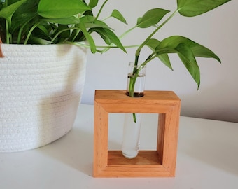 Wood Propagation Station with Plant