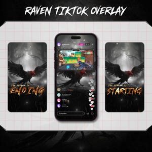 Raven Animated TikTok Stream Overlay: Kråka Overlay Pack