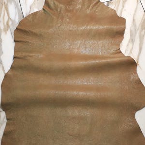 Può includere: Una pelle di cuoio conciata di forma naturale e irregolare. La pelle ha una superficie liscia, leggermente strutturata e un colore marrone caldo e terroso. La pelle sembra flessibile, adatta alla lavorazione.