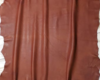 May include: A large, irregularly shaped piece of brown leather. The leather has a smooth, slightly glossy surface with subtle variations in color and texture. The edges are uneven, suggesting it is a natural, unfinished hide, suitable for crafting.