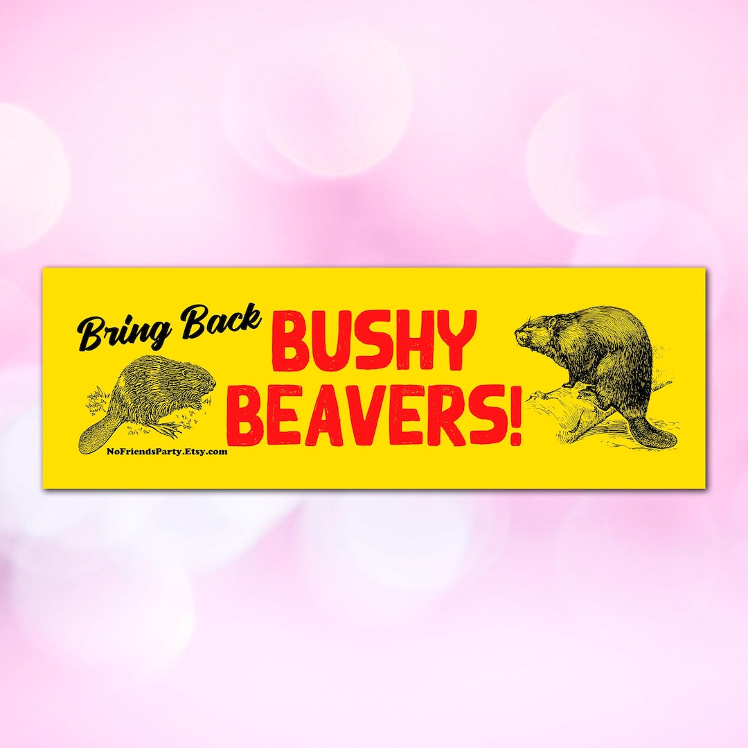 みちこ…SUPER BEAVER il_1080xN.6565751750_i9y5.jpg