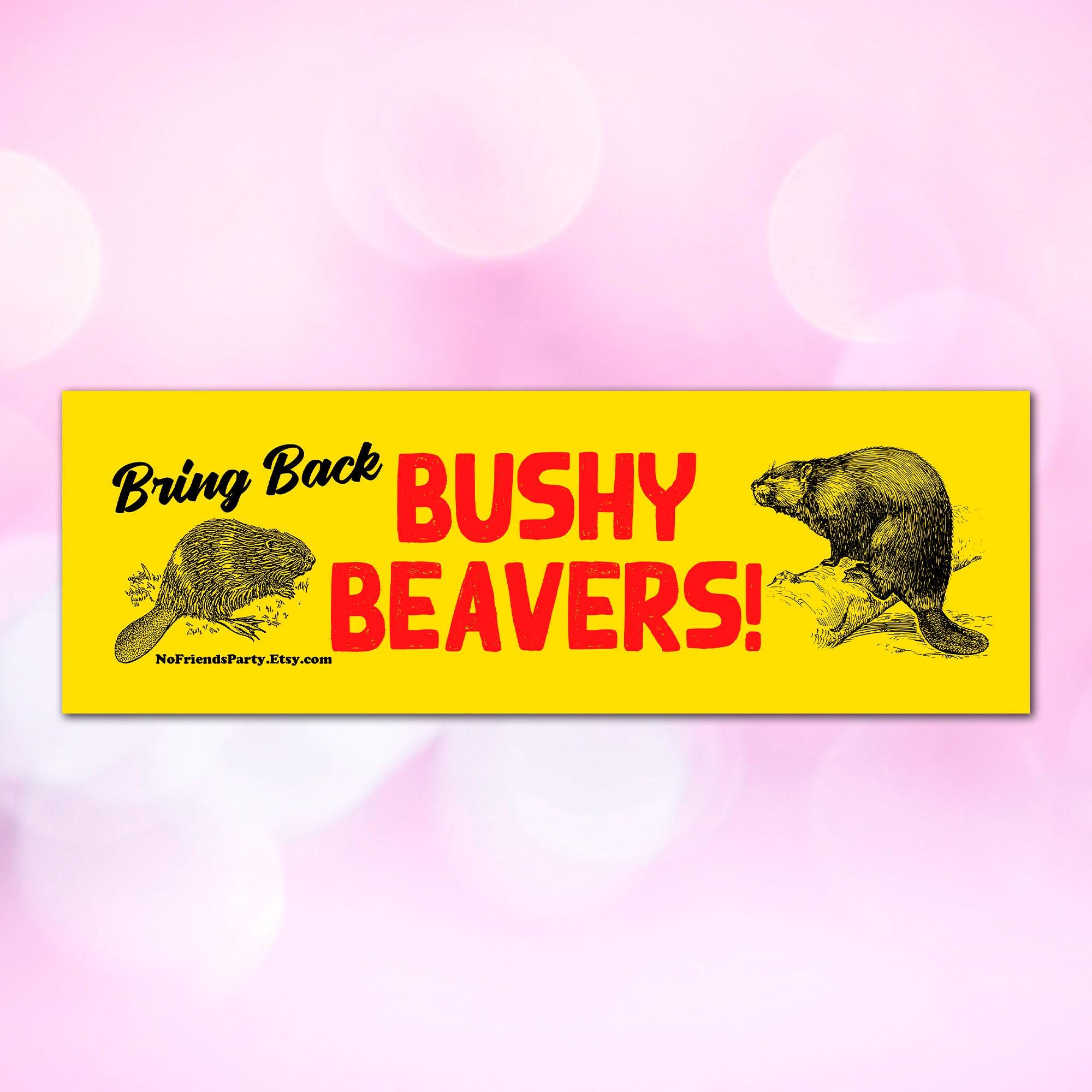 Bring Back Bushy Beavers - Car Magnet 10x3 - Etsy