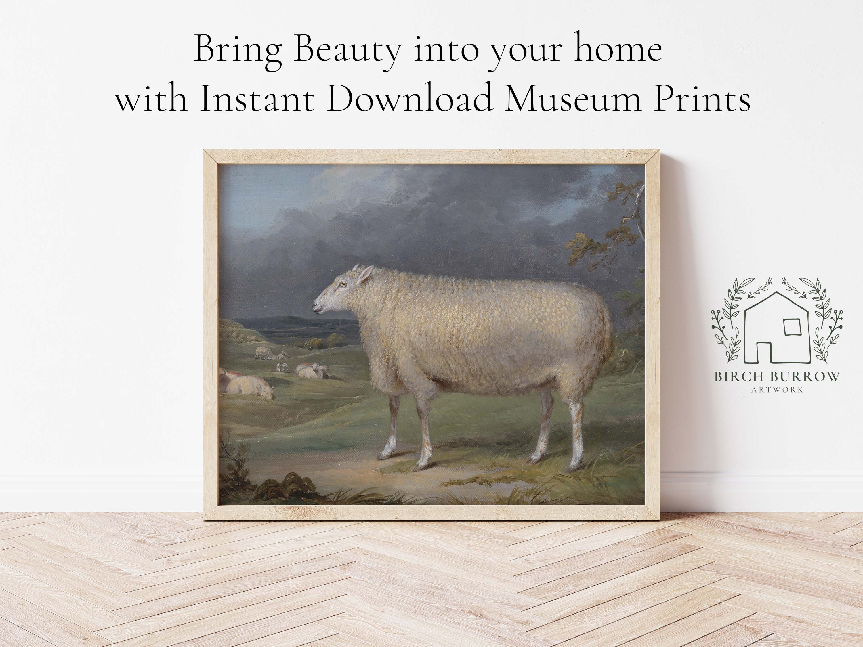 Vintage Sheep Art Print | Farm Animal Wall Art | English Countryside ...