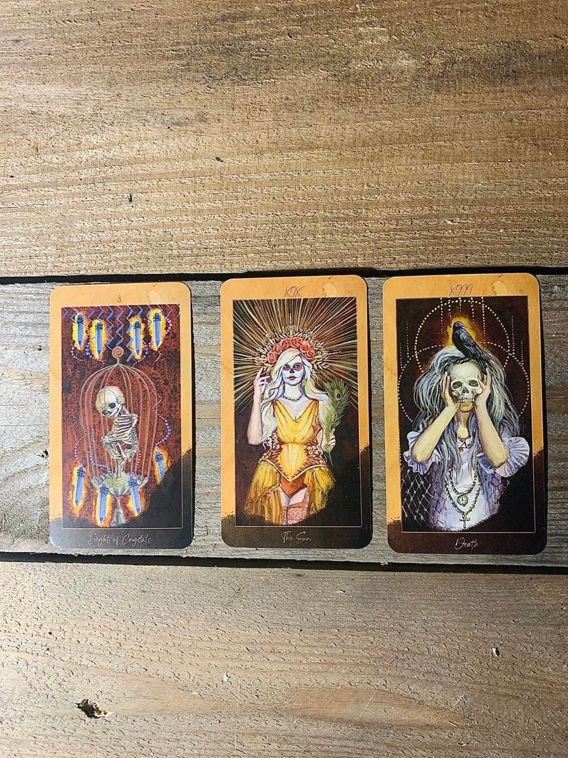 Tarot Cards — Store 2 — The Mystic Dog