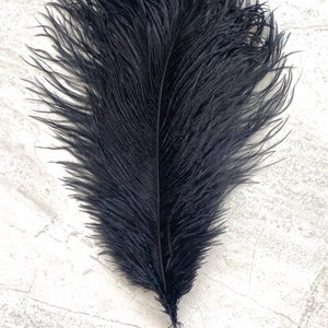 Puede incluir: Una pluma negra grande con un raquis central y barbas suaves y plumosas. La pluma se muestra sobre un fondo gris claro y texturizado. Adecuada para manualidades o dise&ntilde;o de vestuario.