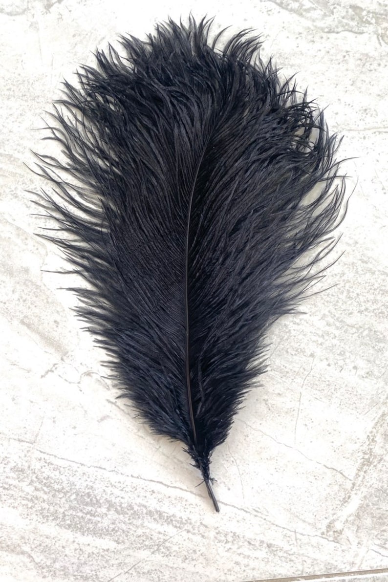 Puede incluir: Una pluma negra grande con un raquis central y barbas suaves y plumosas. La pluma se muestra sobre un fondo gris claro y texturizado. Adecuada para manualidades o dise&ntilde;o de vestuario.
