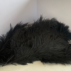 Puede incluir: Un mont&oacute;n de plumas de avestruz negras. Las plumas son largas, suaves y tienen una textura esponjosa. La imagen est&aacute; tomada sobre un fondo blanco, lo que resalta el color oscuro y los detalles de las plumas.