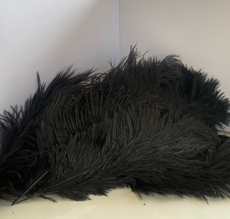 Puede incluir: Un mont&oacute;n de plumas de avestruz negras. Las plumas son largas, suaves y tienen una textura esponjosa. La imagen est&aacute; tomada sobre un fondo blanco, lo que resalta el color oscuro y los detalles de las plumas.