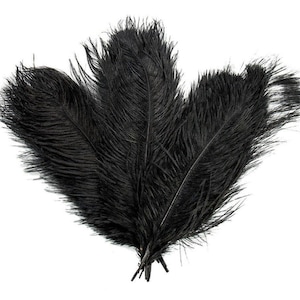 Puede incluir: Tres plumas de avestruz negras sobre un fondo blanco. Las plumas son largas, con una textura suave y esponjosa. La base de las plumas est&aacute; agrupada. La imagen est&aacute; bien iluminada, resaltando los detalles de las plumas.