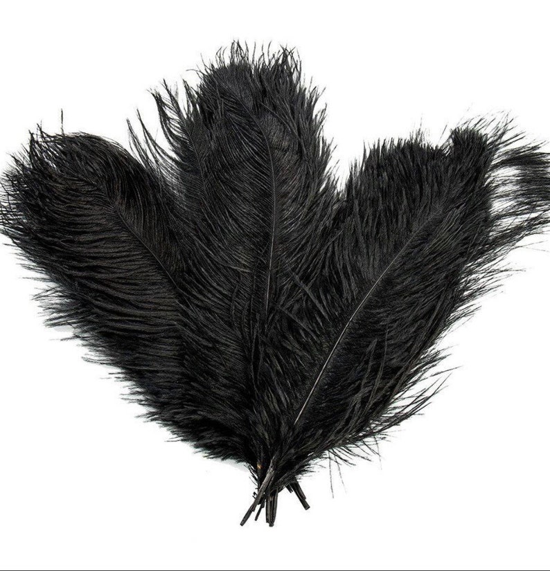 Puede incluir: Tres plumas de avestruz negras sobre un fondo blanco. Las plumas son largas, con una textura suave y esponjosa. La base de las plumas est&aacute; agrupada. La imagen est&aacute; bien iluminada, resaltando los detalles de las plumas.